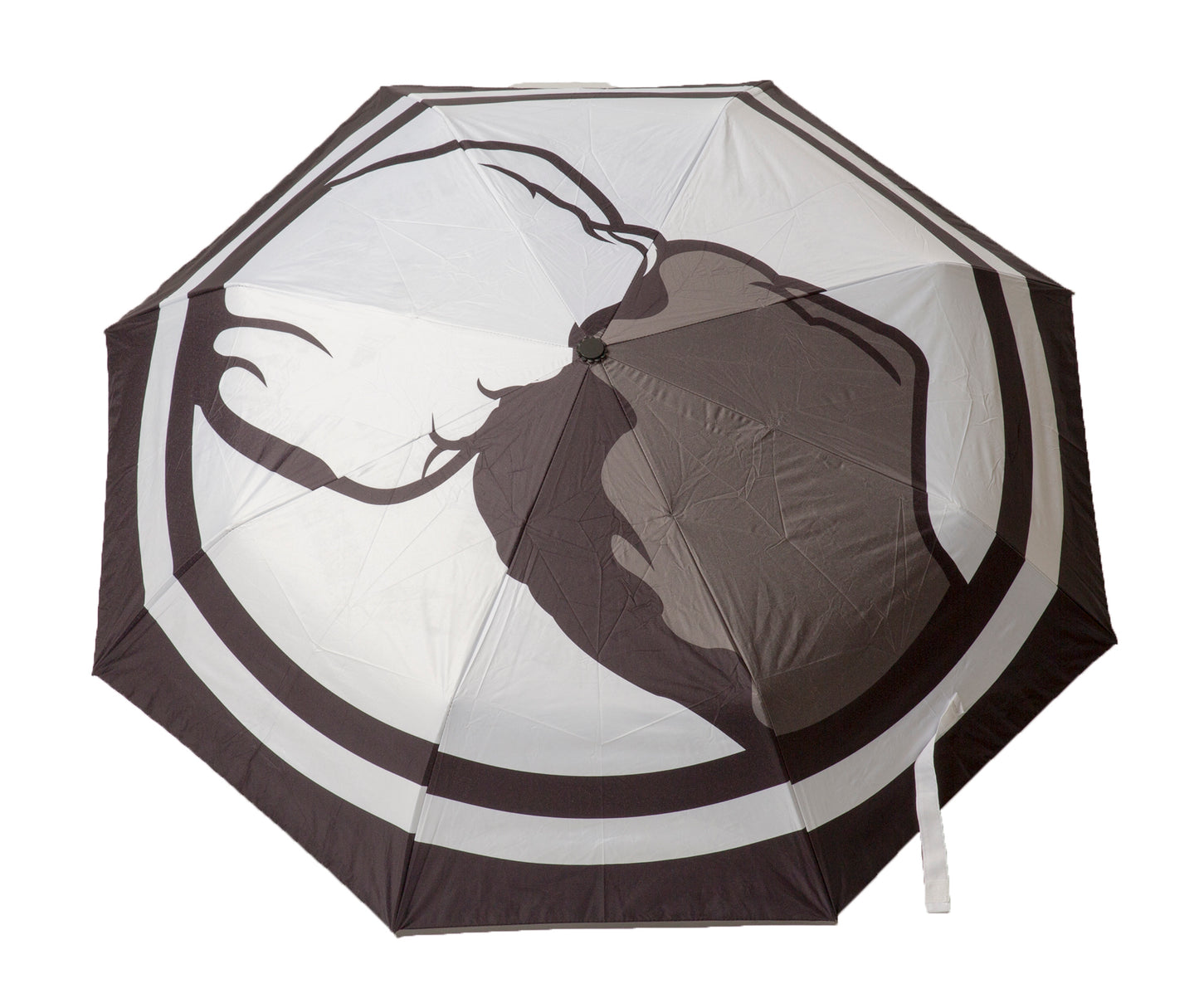 Unity Umbrella