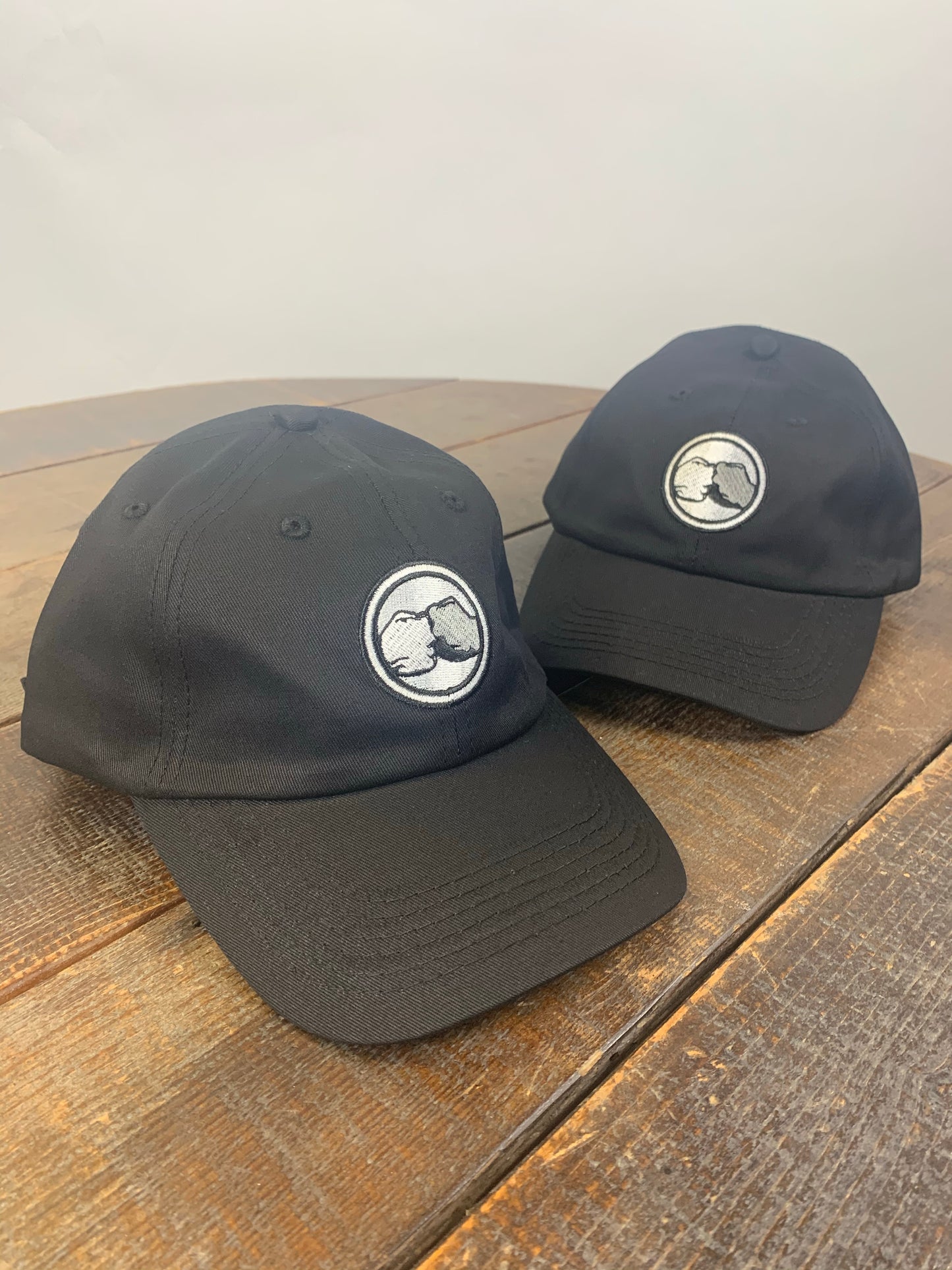INDAMIX Logo Dad hat